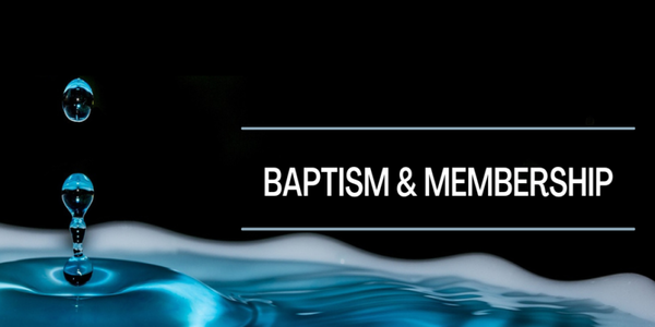 Celebration of Baptism and Profession of Faith