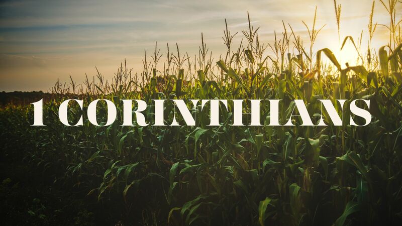 1 Corinthians 10:23-11:1