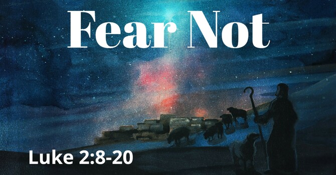 Fear Not