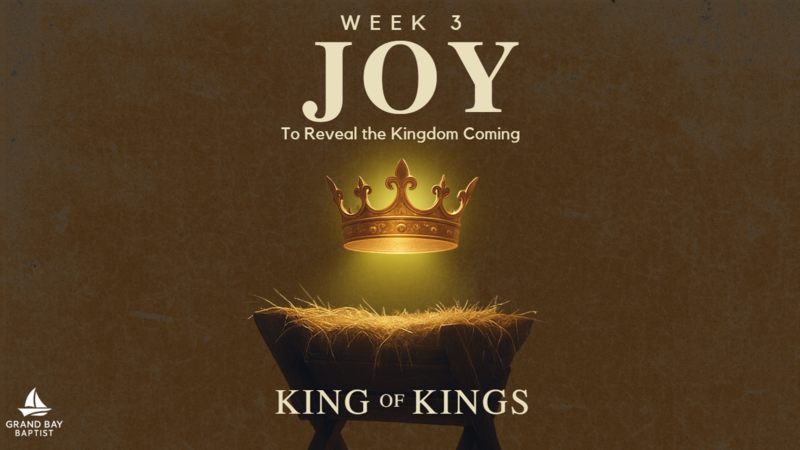 Joy that Came Into the World