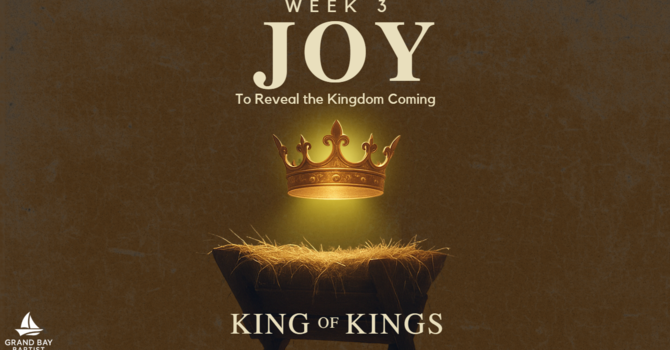 Joy that Came Into the World