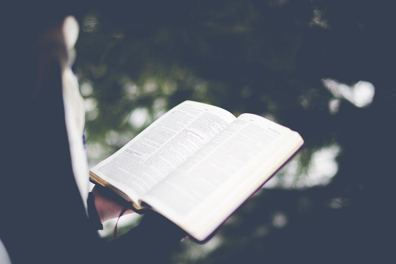 Jesus - Our Prince of Peace! 