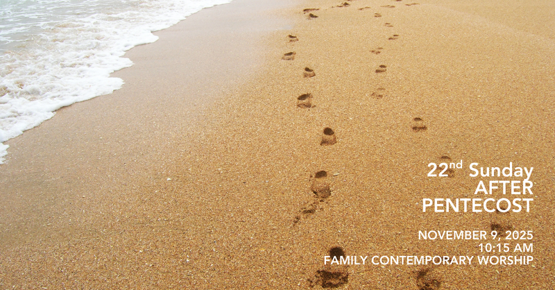 22nd Sunday After Pentecost