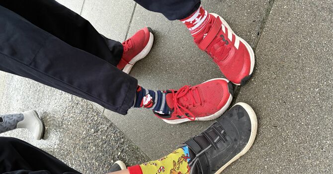 WEAR CHRISTMAS SOCKS image