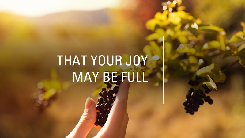 Advent: The Candle of Joy