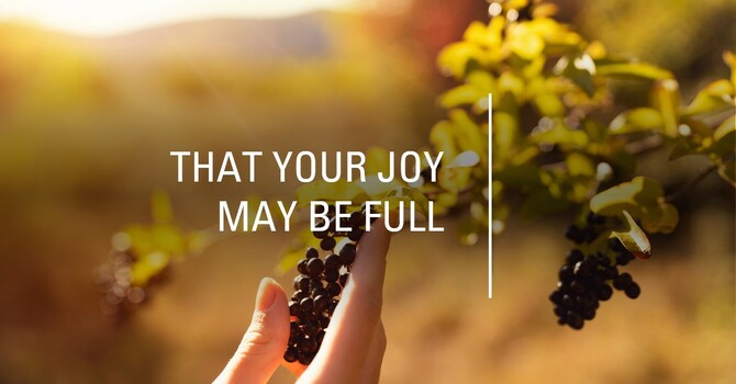 Advent: The Candle of Joy