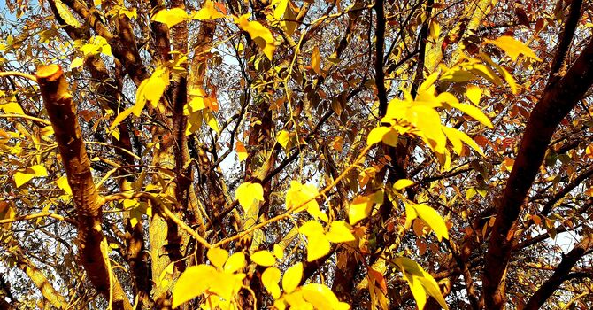 Why Did Jesus Rise From The Dead image