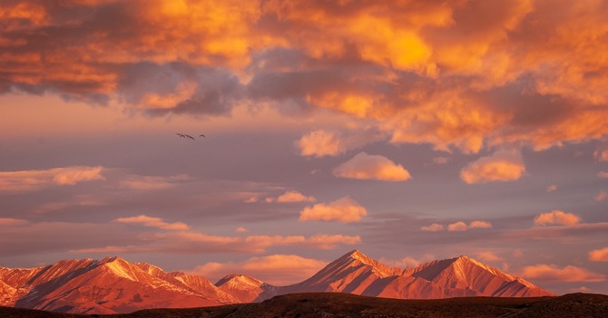 Children & Student Ministries