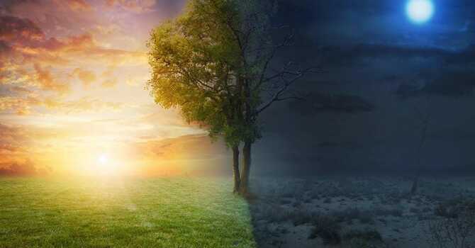 Darkness and Light Day 16