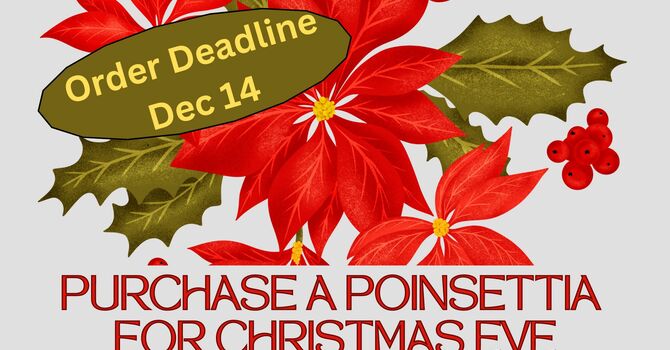Purchase a Poinsettia