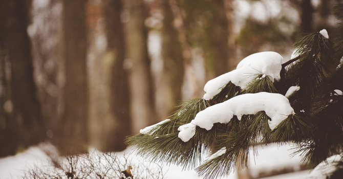 It Is Time To Let It Snow image