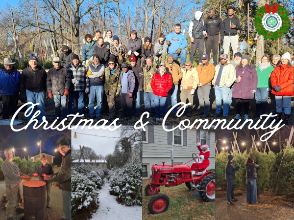 Another Christmas Tree Project is Wrapped Up