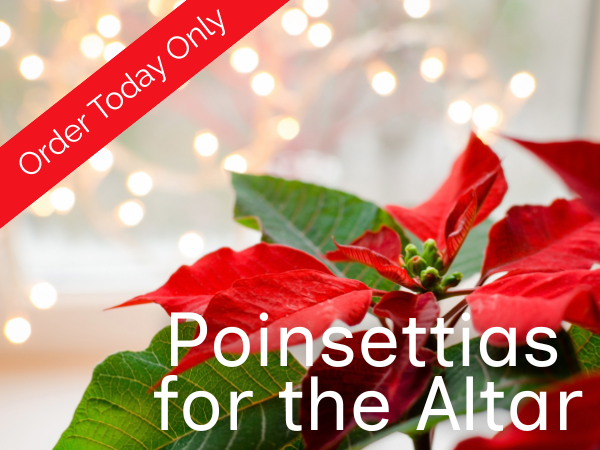 Honor Loved Ones with Christmas Beauty