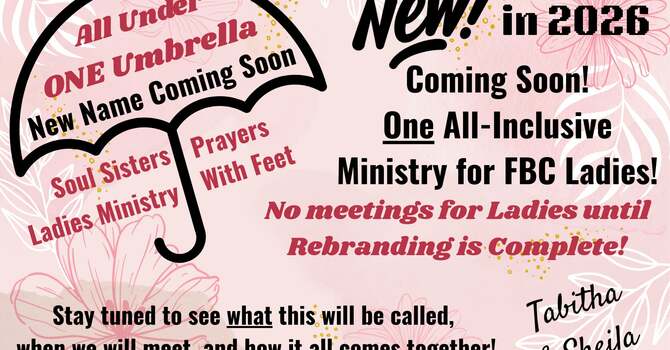 Ministry for All Ladies image