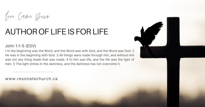  Author Of Life Is For Life