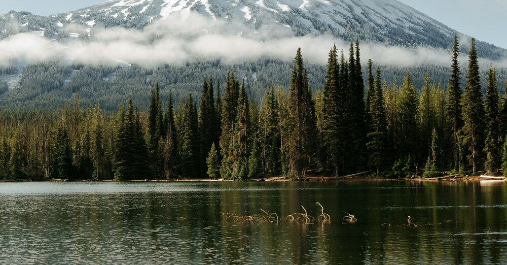 Exercise and Spiritual Growth Group for Senior 