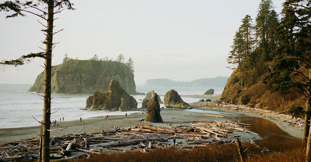 Young at Heart Exercise Group