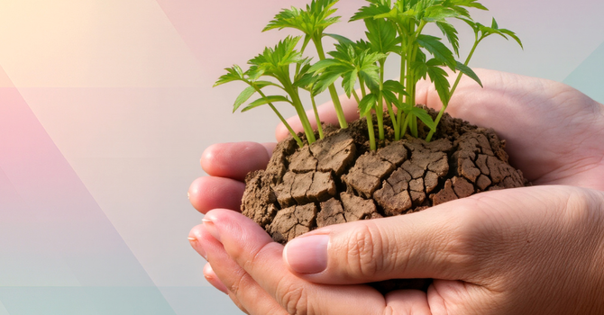 Making our tomorrows become our today... image