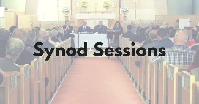 Regular Session of Diocesan Synod