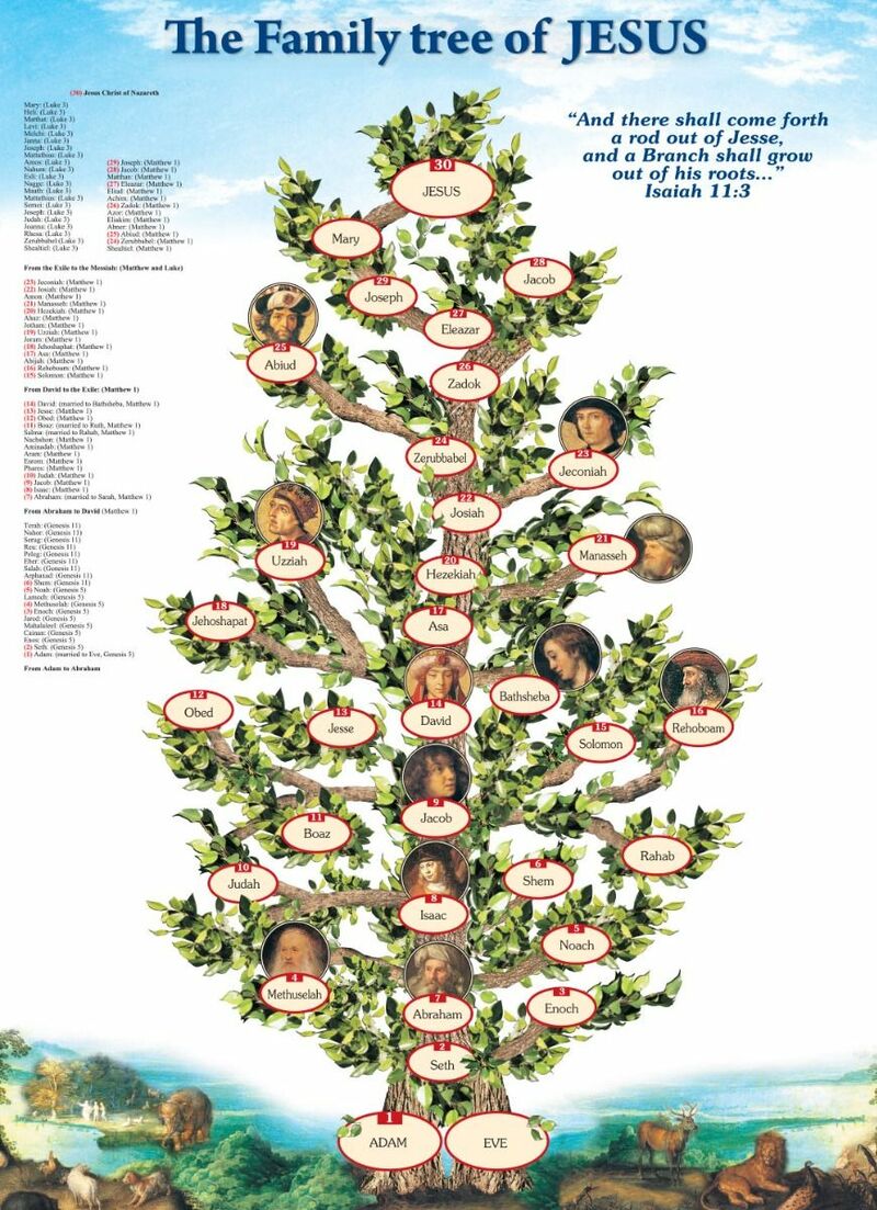 The Family Tree of Jesus