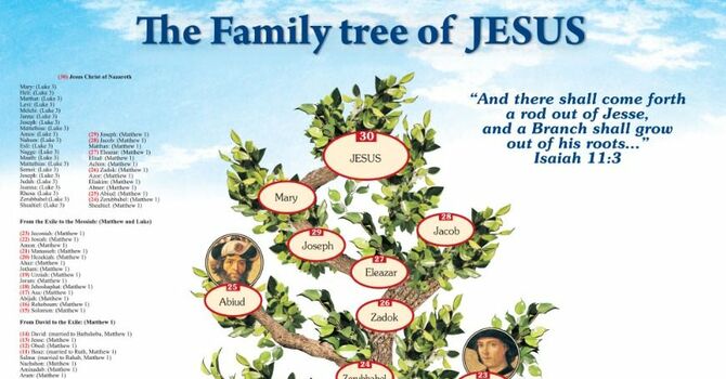 The Family Tree of Jesus