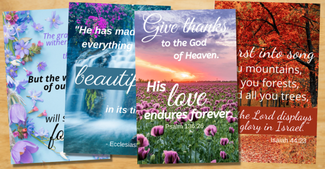 Weekly Bulletin Post