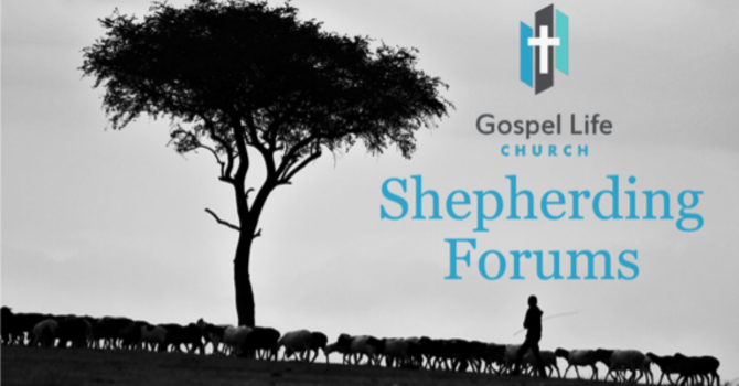 Shepherding Forums