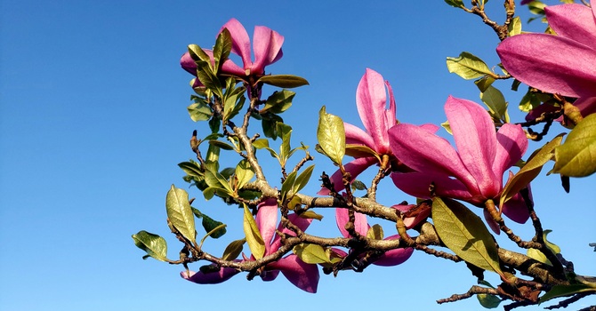 The Journey To "It's OK" image