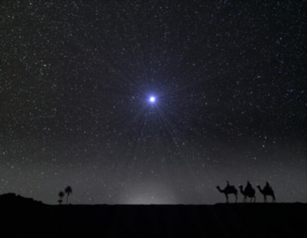 The Risk of Birth, Christmas 1973