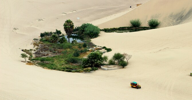 Springs in the Desert