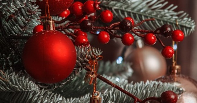 December 19, 2025 Devotion image