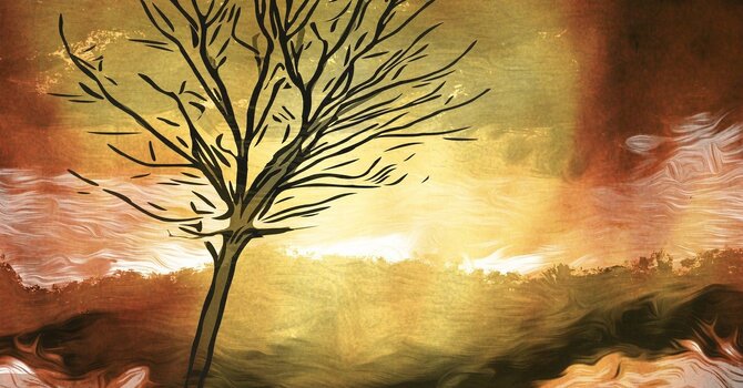 Darkness and light Day 20