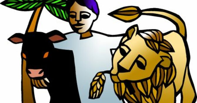 Sunday, December 7, 2025 - Second Sunday of Advent