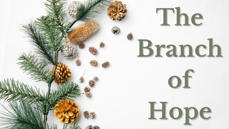 The Branch of Hope