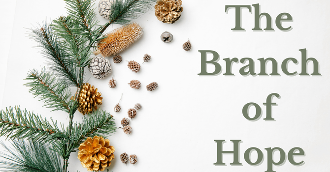 The Branch of Hope