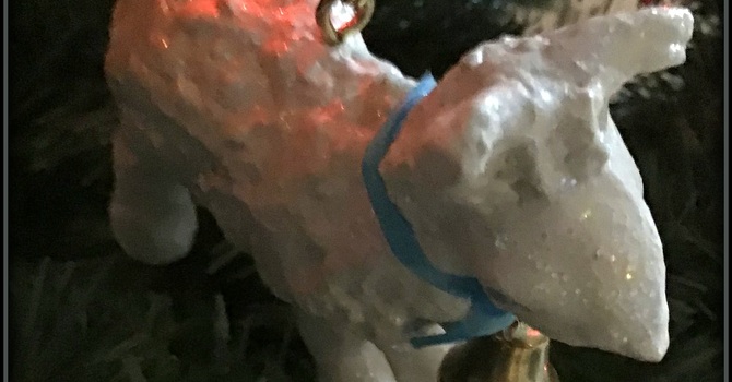 Friday Focus December 19 2025 image