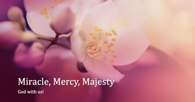 Miracle, Mercy, Majesty: God with us!