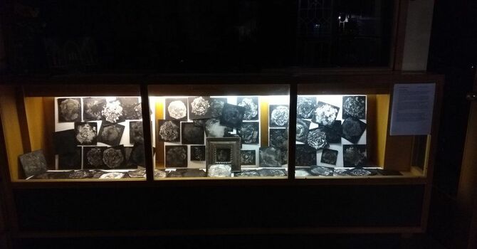 Darkness and Light Day 22 image