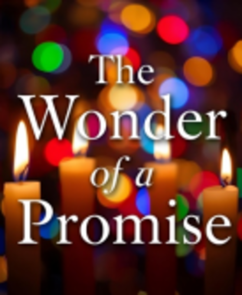 The Wonder of a Promise