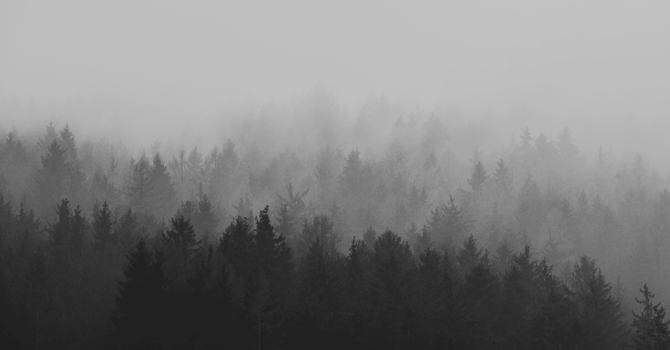 Chris Reid - Obedience to the Call