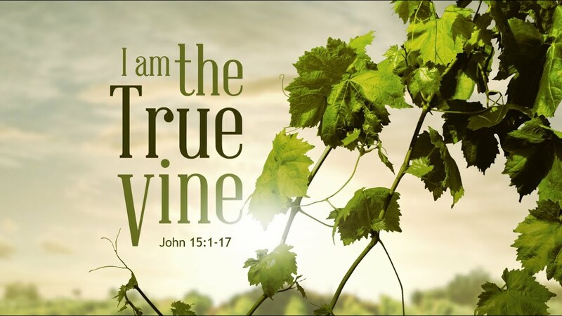 The True Vine | Pastor Jake Babinsack