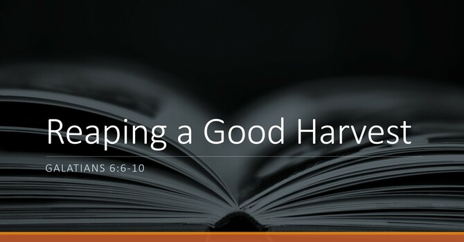 Reaping a Good Harvest