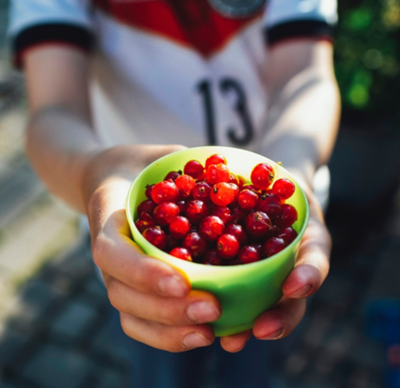 Rev. Karen's Reflection for November 30th, 2025