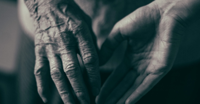 Rev. Karen's Reflection for December 7, 2025