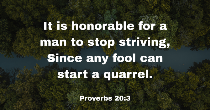 Proverbs 20:3 image