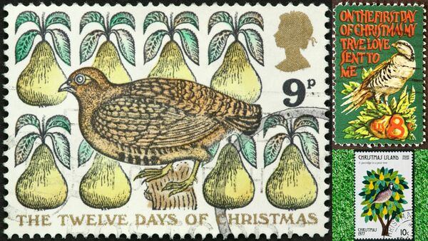 A Partridge in a Pear Tree