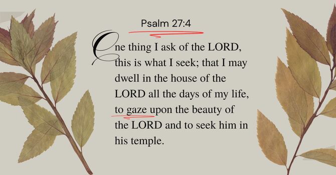 Are You a Gazer or a Glancer? image