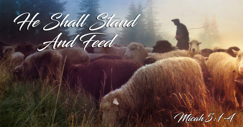 He Shall Stand and Feed
