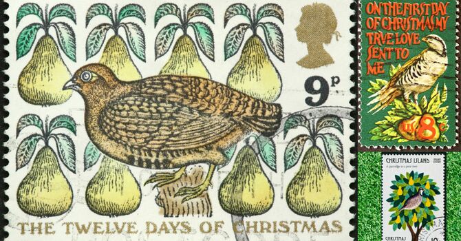 A Partridge in a Pear Tree image