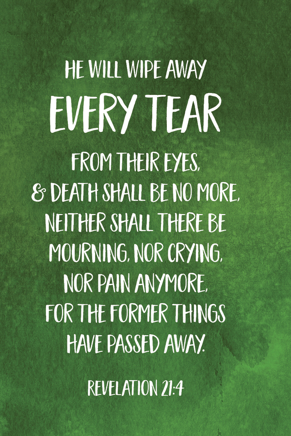 Fighter Verse | December 22, 2025